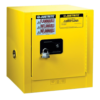 Safety Cabinet